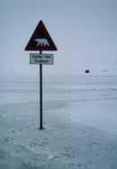 Beware Polar Bears