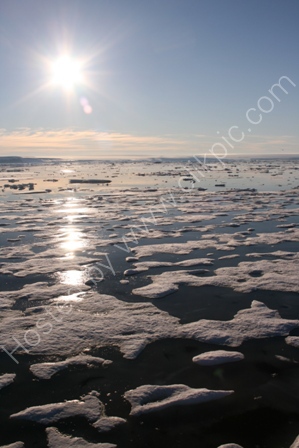 Icefield under Midnight Sun