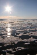 Icefield under Midnight Sun