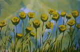 Buttercups