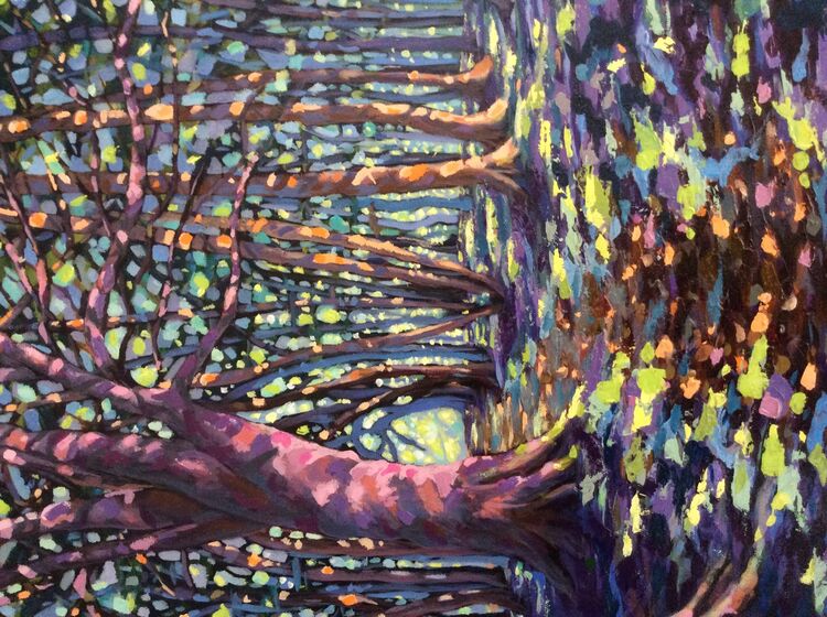 Spring light in the woods