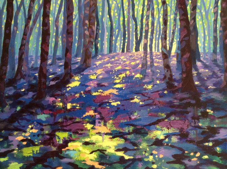 First light on bluebells