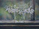 Snowdrops on my Windowsill