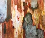 Dance of Gratitude 2