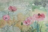 Sue Oley