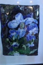 Meconopsis Poppy at Dalemain