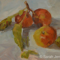 November apples (sold)
