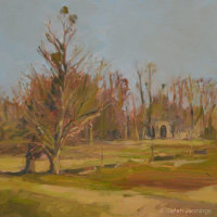 Mistletoe laden trees and sunlit arch, Burghley (February)
