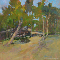 Trail through the Pines