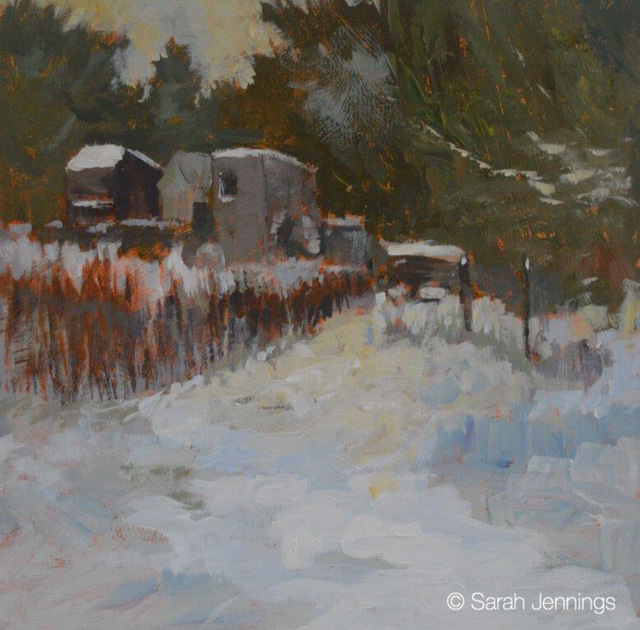 December snow on the allotments