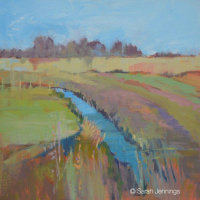 Warm light on the Winter Fen
