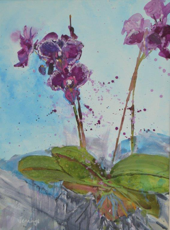 Orchid Explosion!