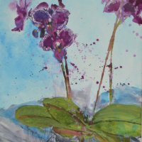 Orchid Explosion! (currently on exhibition at Stamford Arts Centre priced £275 framed)