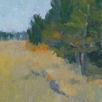 Pines and Dunes at Holkham