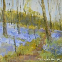 Walking through bluebells, Barnsdale Wood