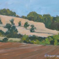 Tree shadows, early Autumn 1 £50