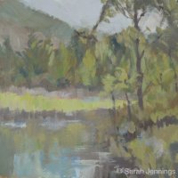 Woodland pool £50