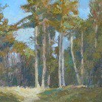 Pines at Fineshade