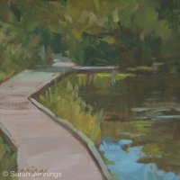 Sunlight on the fishing pools £50