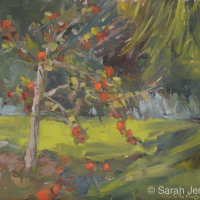 Windfalls £50
