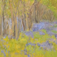 Bluebell wood 1