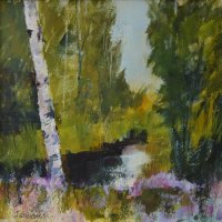 Forest pool,Loch Morlich 1