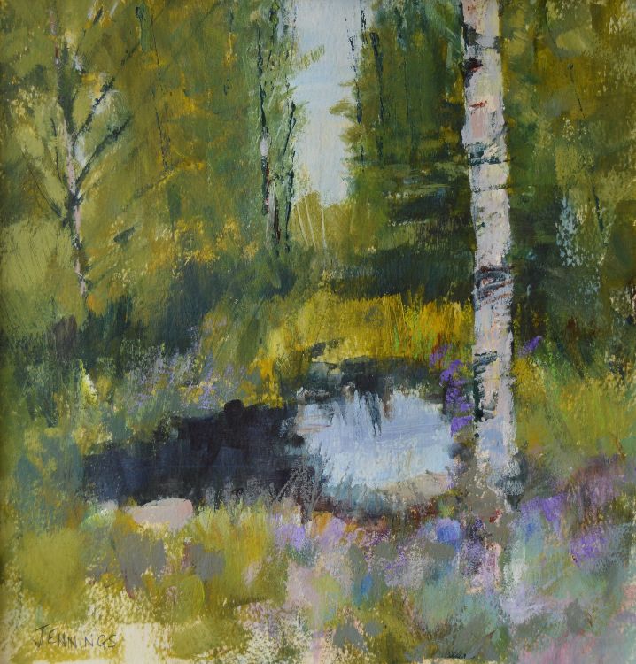 Forest pool,Loch Morlich 2