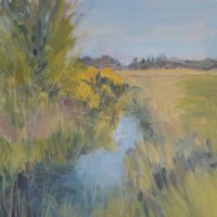 Gorse and grass meadow