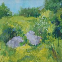 Reclaimed (Ketton Quarry NR June17)