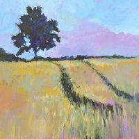 Shady Tree in a Summer Cornfield