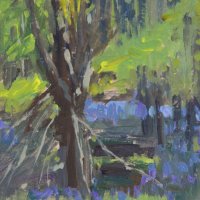 Tree amongst the Bluebells £50