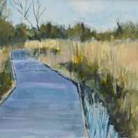Wicken Fen, shady boardwalk
