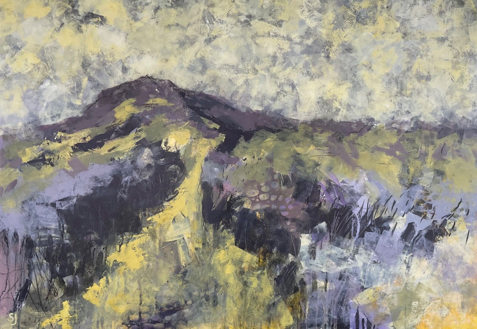Carn Ingli - the path to the top