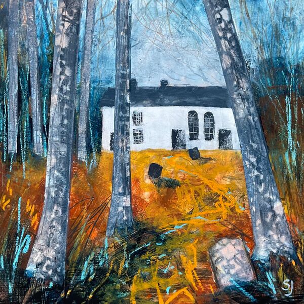 Between the trees Soar y Mynydd