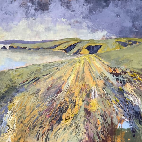 Pembrokeshire Coast from Porthgain