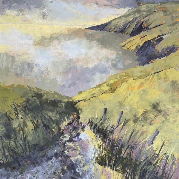 Walking north from Ynys Lochtyn