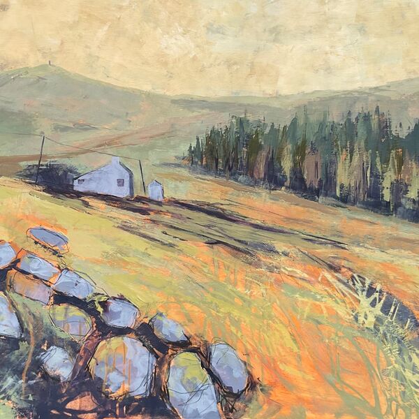 Mynydd Bach Quiet