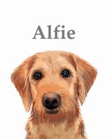 Pet portraits