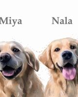 Double dog portrait