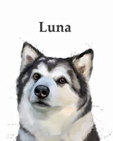 Pet portraits from photos