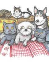Pet illustrations watercolour painting from photos