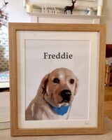 Framed pet portrait