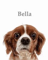 Pet portraits from photos