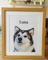 Framed pet portrait