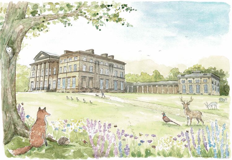 Attingham Park
