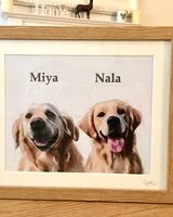 Framed double dog portrait