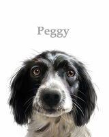 Pet portraits from photos