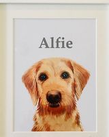 Framed pet portraits available in white or oak