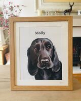Pet portraits framed