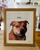 Dog portrait framed